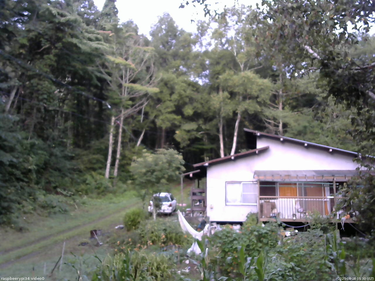 長野県菅平高原 ゆたか山荘 西側(坂上) 2025/08/28 05:30