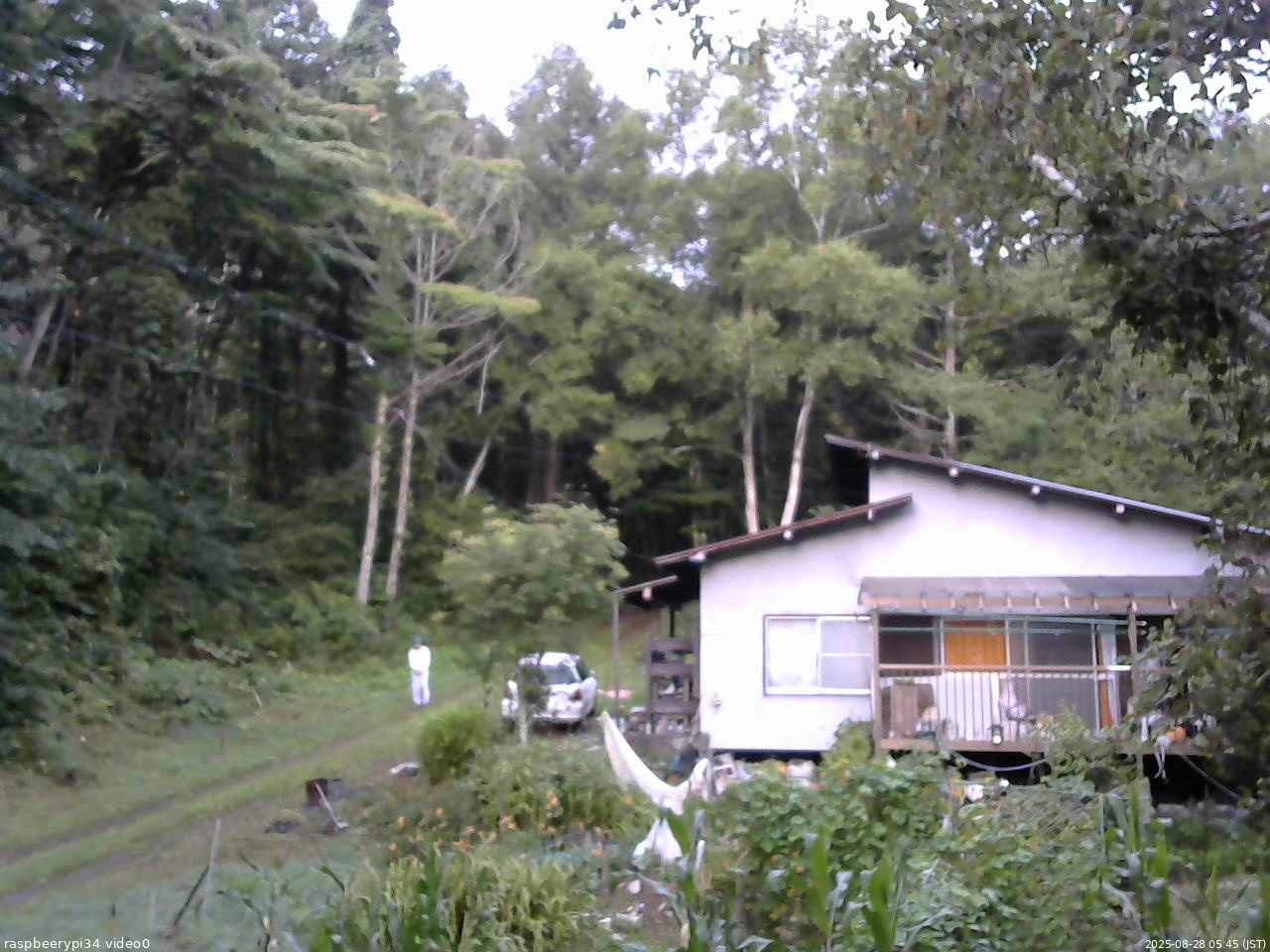 長野県菅平高原 ゆたか山荘 西側(坂上) 2025/08/28 05:45