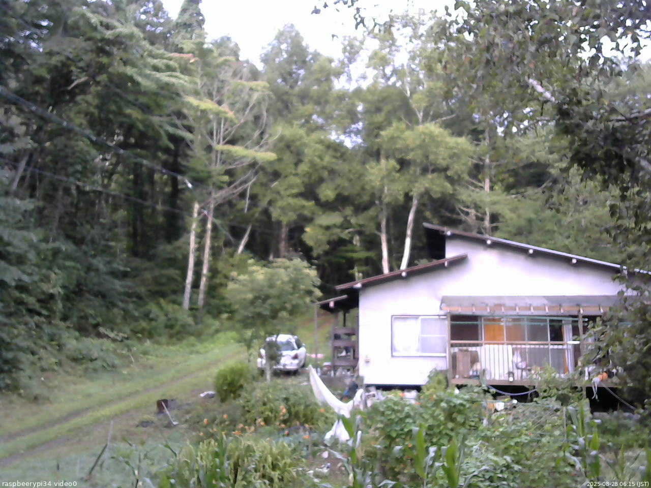長野県菅平高原 ゆたか山荘 西側(坂上) 2025/08/28 06:15