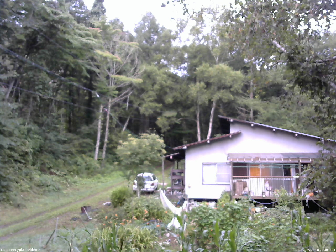 長野県菅平高原 ゆたか山荘 西側(坂上) 2025/08/28 06:30
