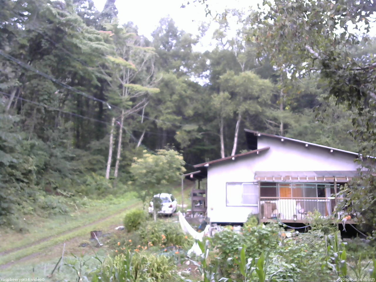 長野県菅平高原 ゆたか山荘 西側(坂上) 2025/08/28 06:45