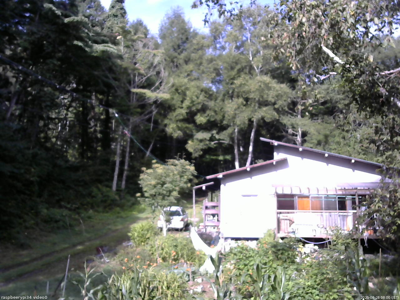 長野県菅平高原 ゆたか山荘 西側(坂上) 2025/08/28 08:00
