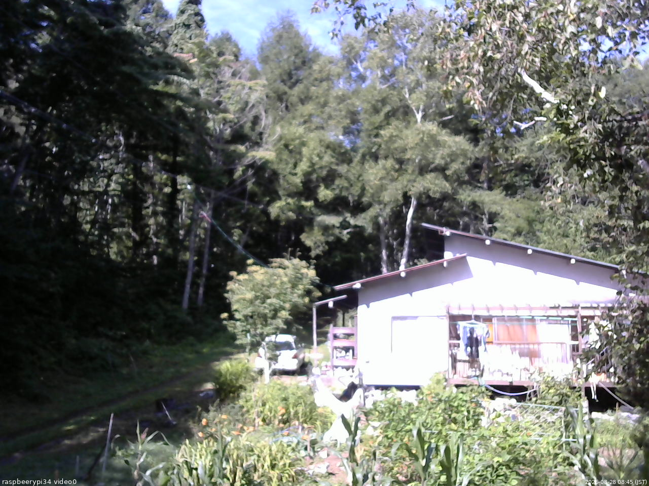 長野県菅平高原 ゆたか山荘 西側(坂上) 2025/08/28 08:45