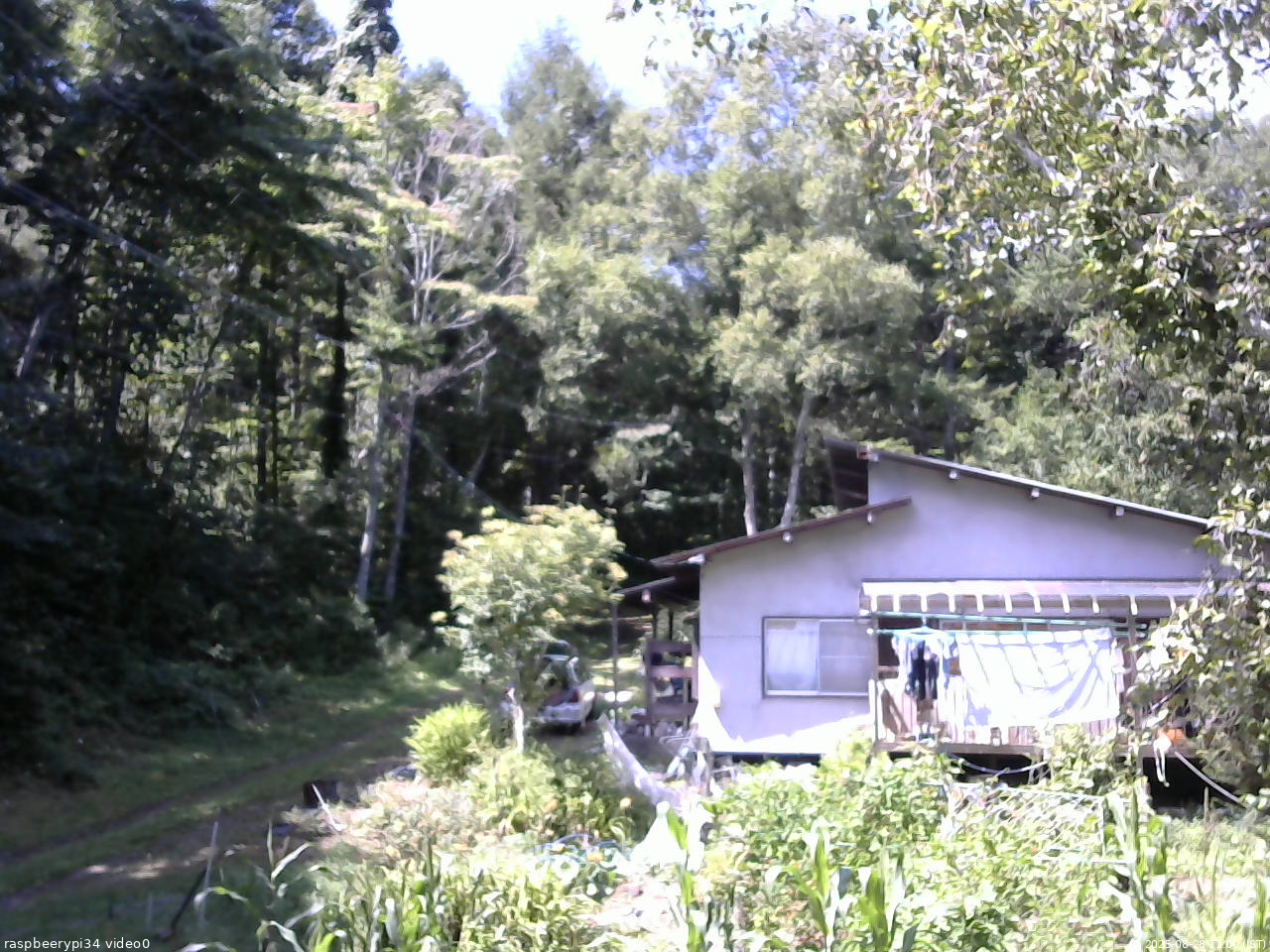 長野県菅平高原 ゆたか山荘 西側(坂上) 2025/08/28 11:00