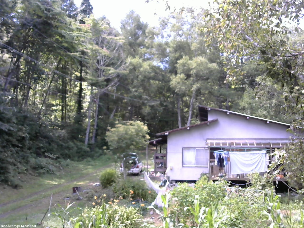 長野県菅平高原 ゆたか山荘 西側(坂上) 2025/08/28 12:00