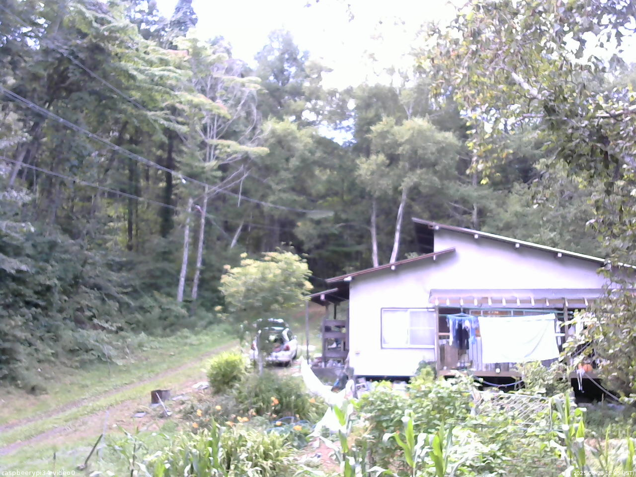 長野県菅平高原 ゆたか山荘 西側(坂上) 2025/08/28 12:45