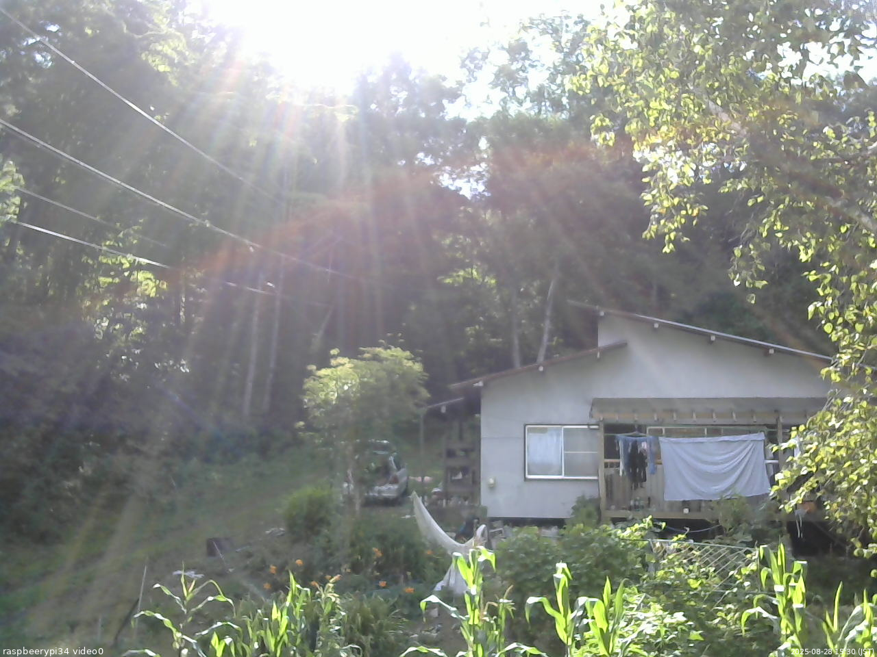長野県菅平高原 ゆたか山荘 西側(坂上) 2025/08/28 15:30