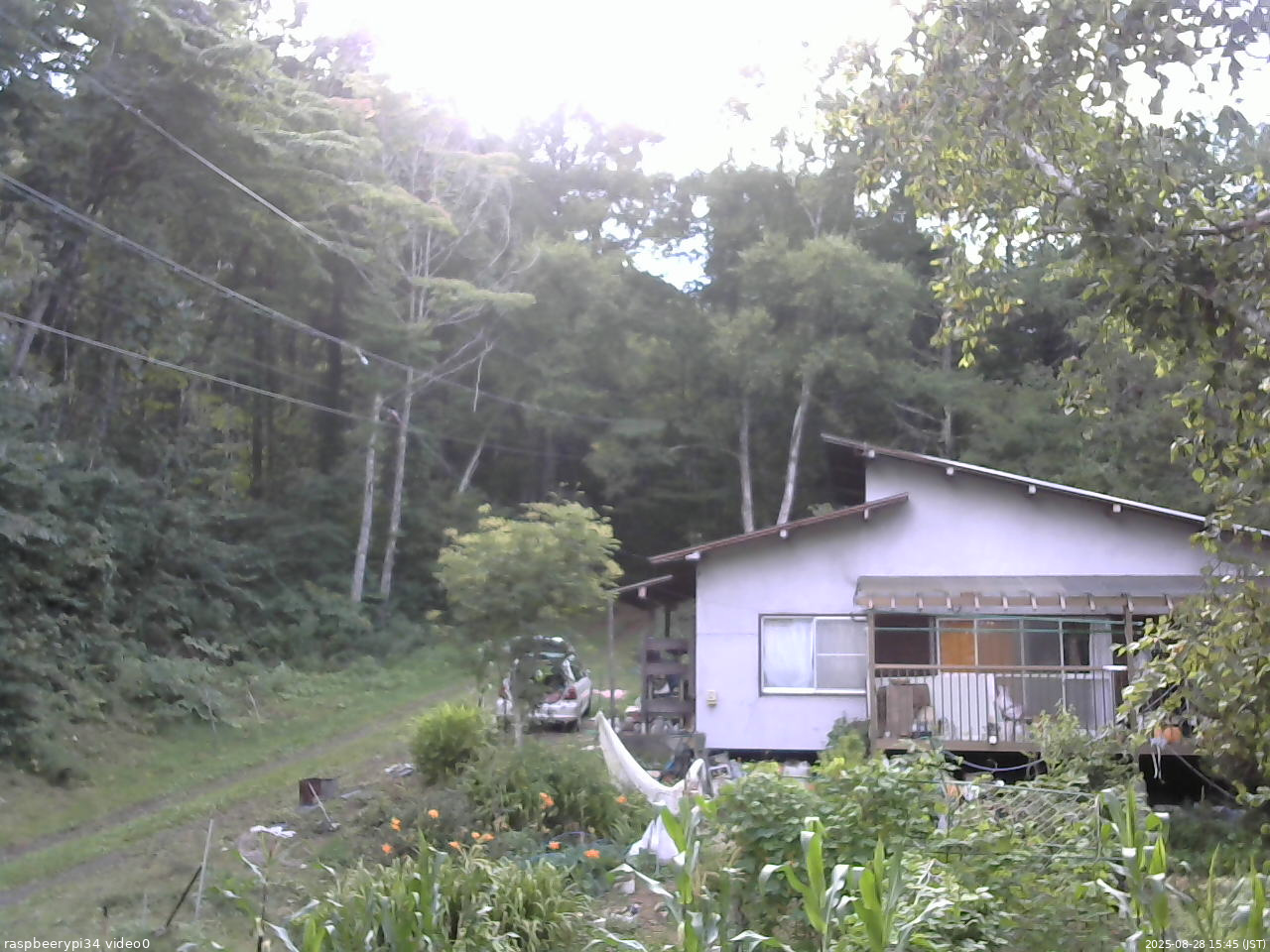 長野県菅平高原 ゆたか山荘 西側(坂上) 2025/08/28 15:45