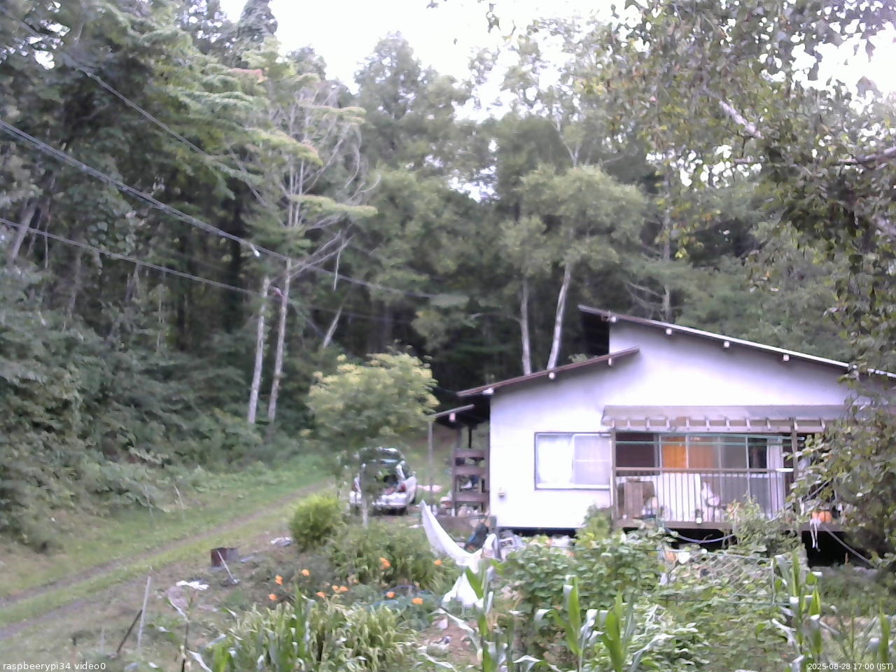 長野県菅平高原 ゆたか山荘 西側(坂上) 2025/08/28 17:00