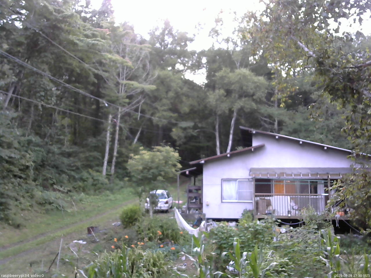 長野県菅平高原 ゆたか山荘 西側(坂上) 2025/08/28 17:30