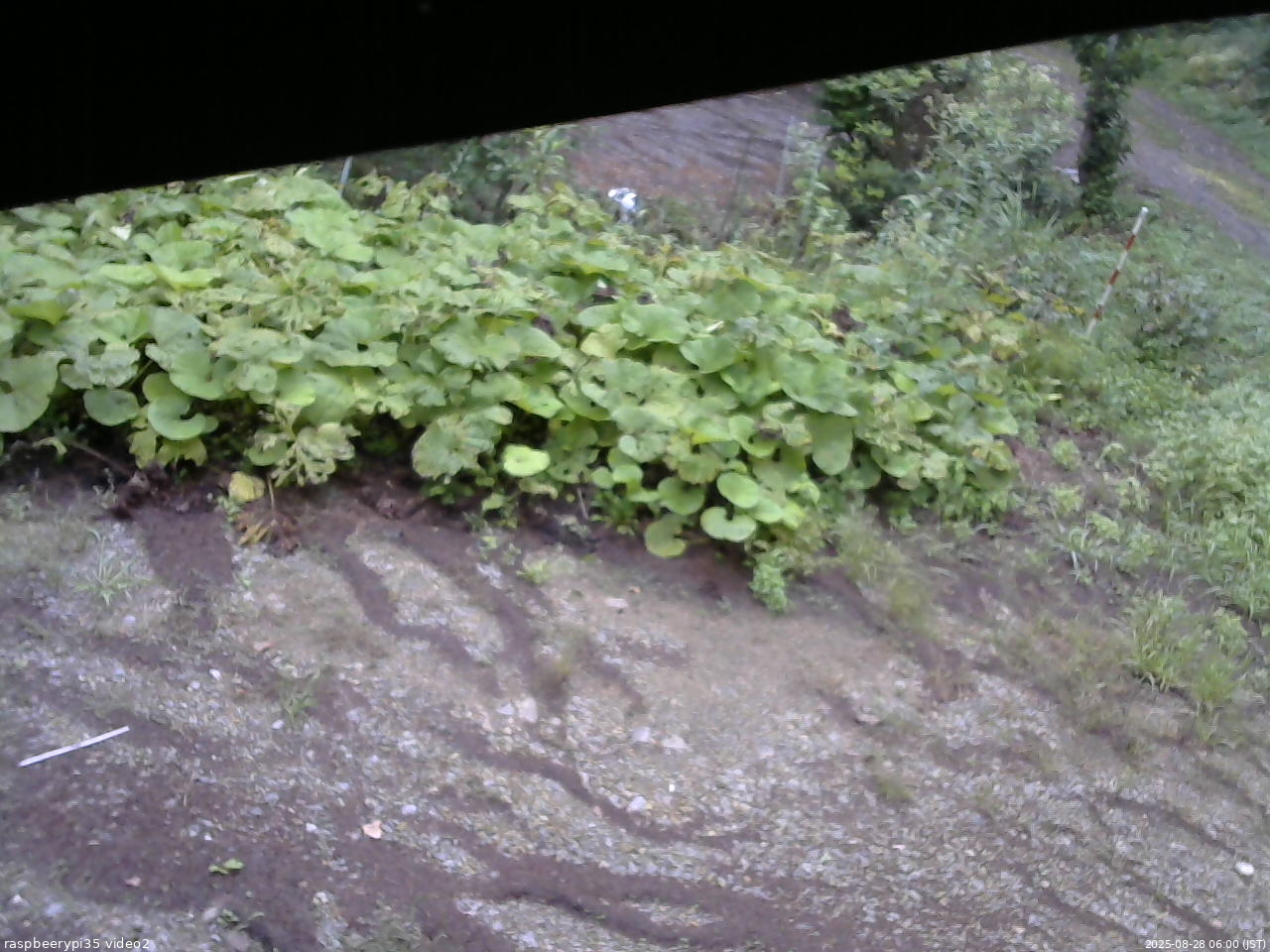 長野県菅平高原 ゆたか山荘 駐車場 2025/08/28 06:00