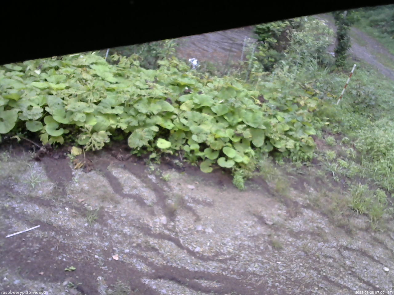 長野県菅平高原 ゆたか山荘 駐車場 2025/08/28 07:00