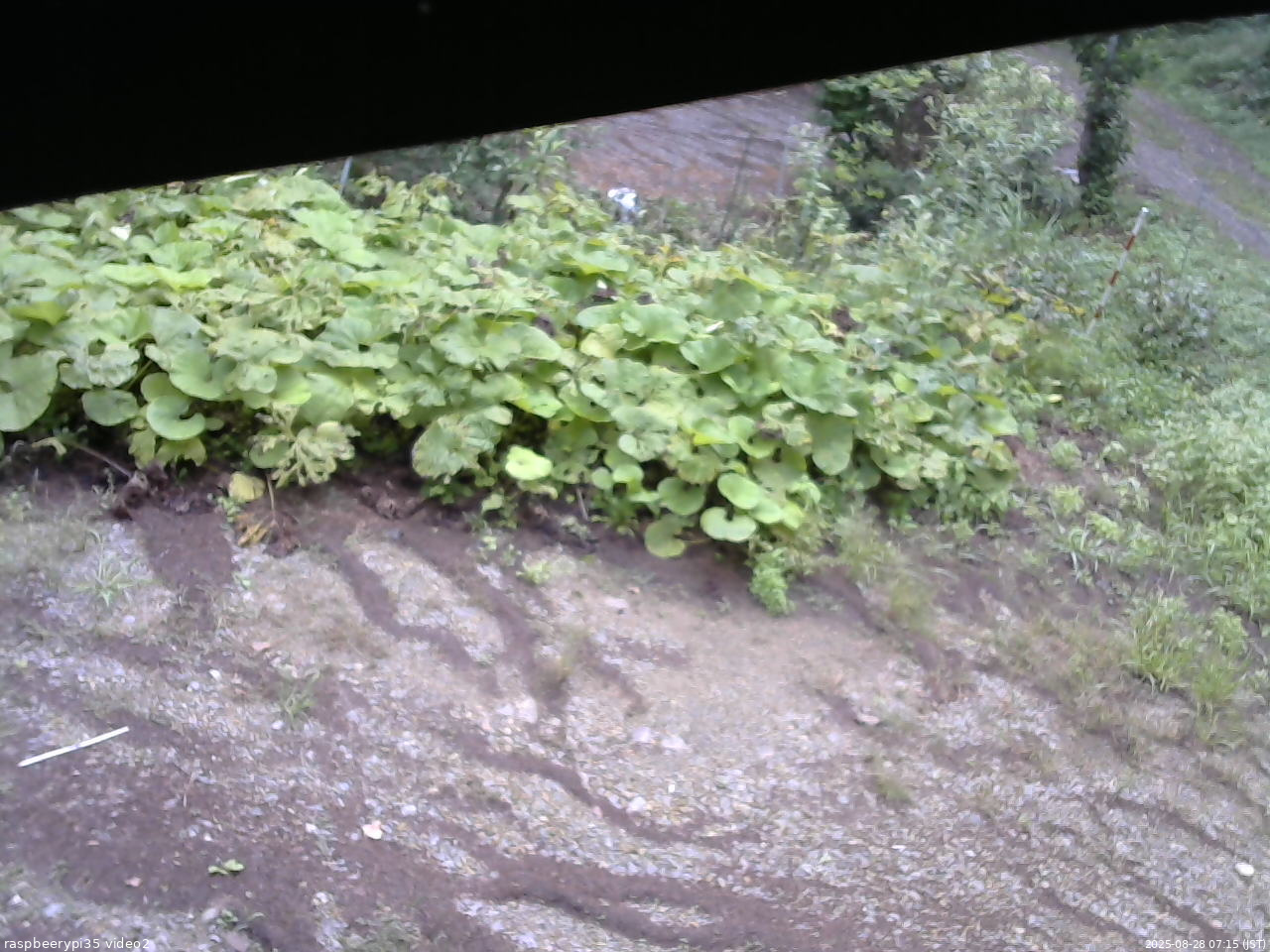 長野県菅平高原 ゆたか山荘 駐車場 2025/08/28 07:15