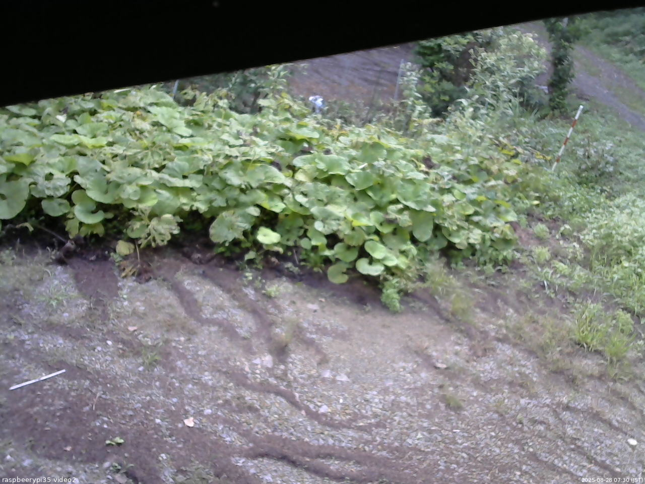長野県菅平高原 ゆたか山荘 駐車場 2025/08/28 07:30