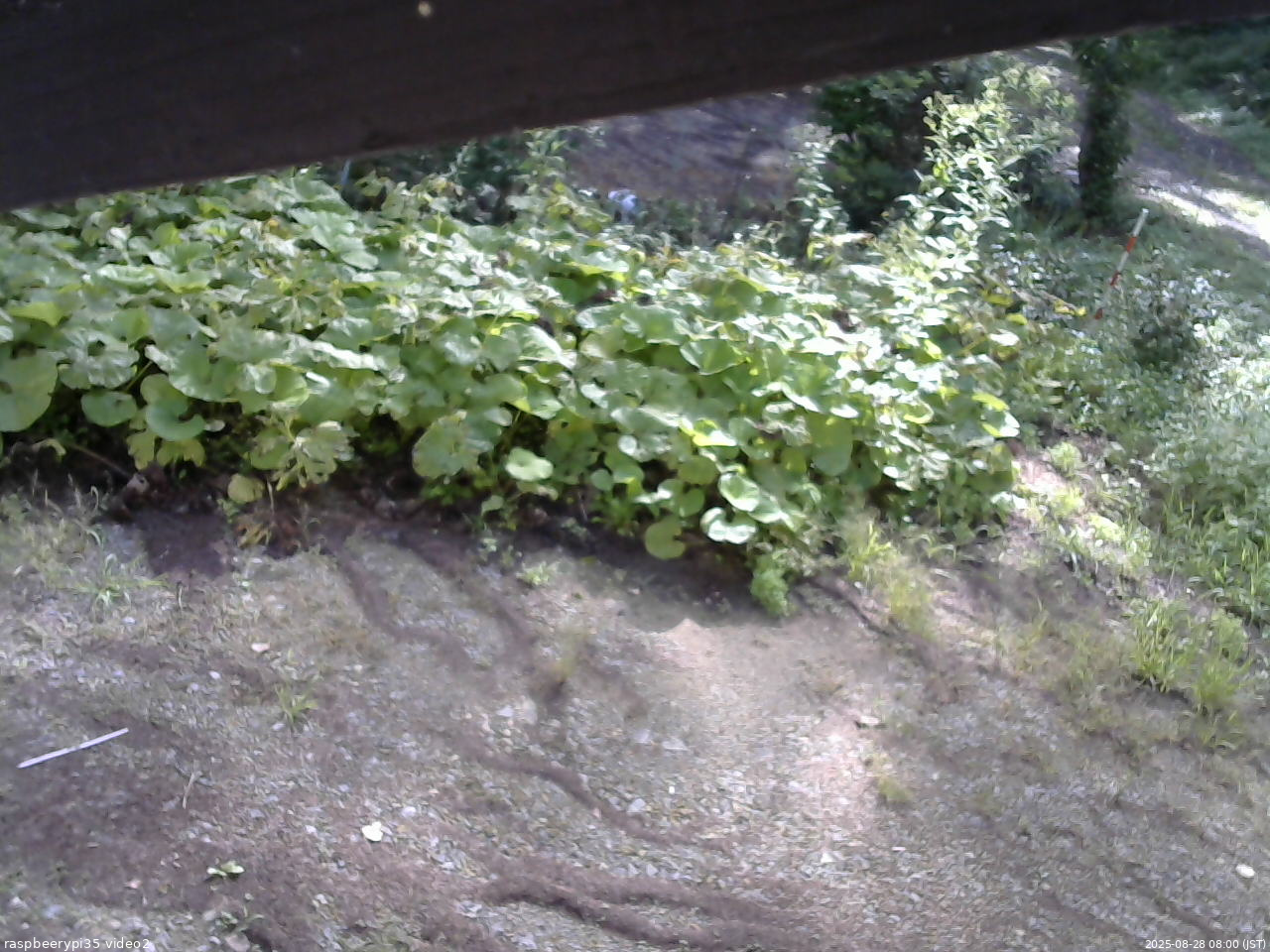 長野県菅平高原 ゆたか山荘 駐車場 2025/08/28 08:00