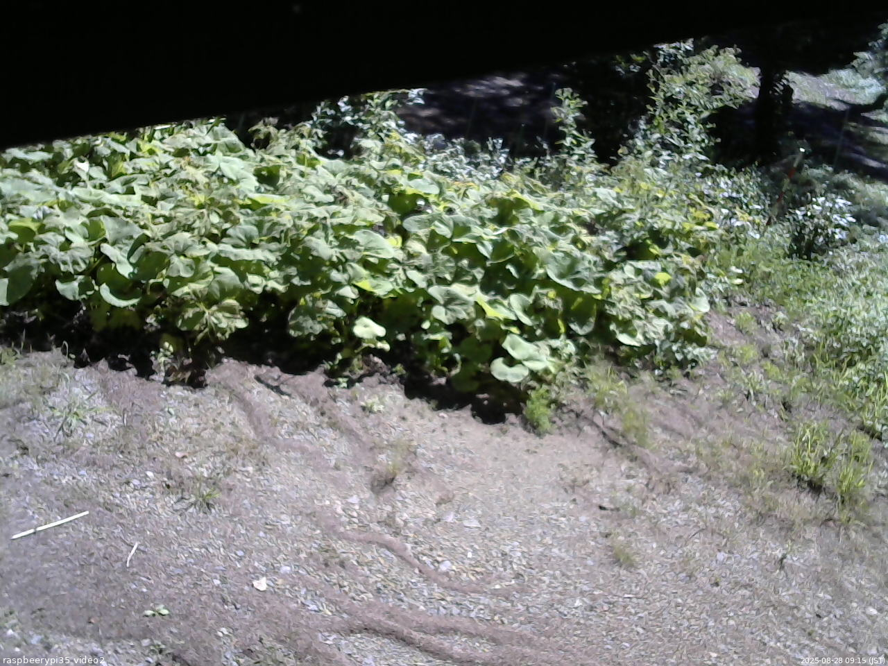 長野県菅平高原 ゆたか山荘 駐車場 2025/08/28 09:15