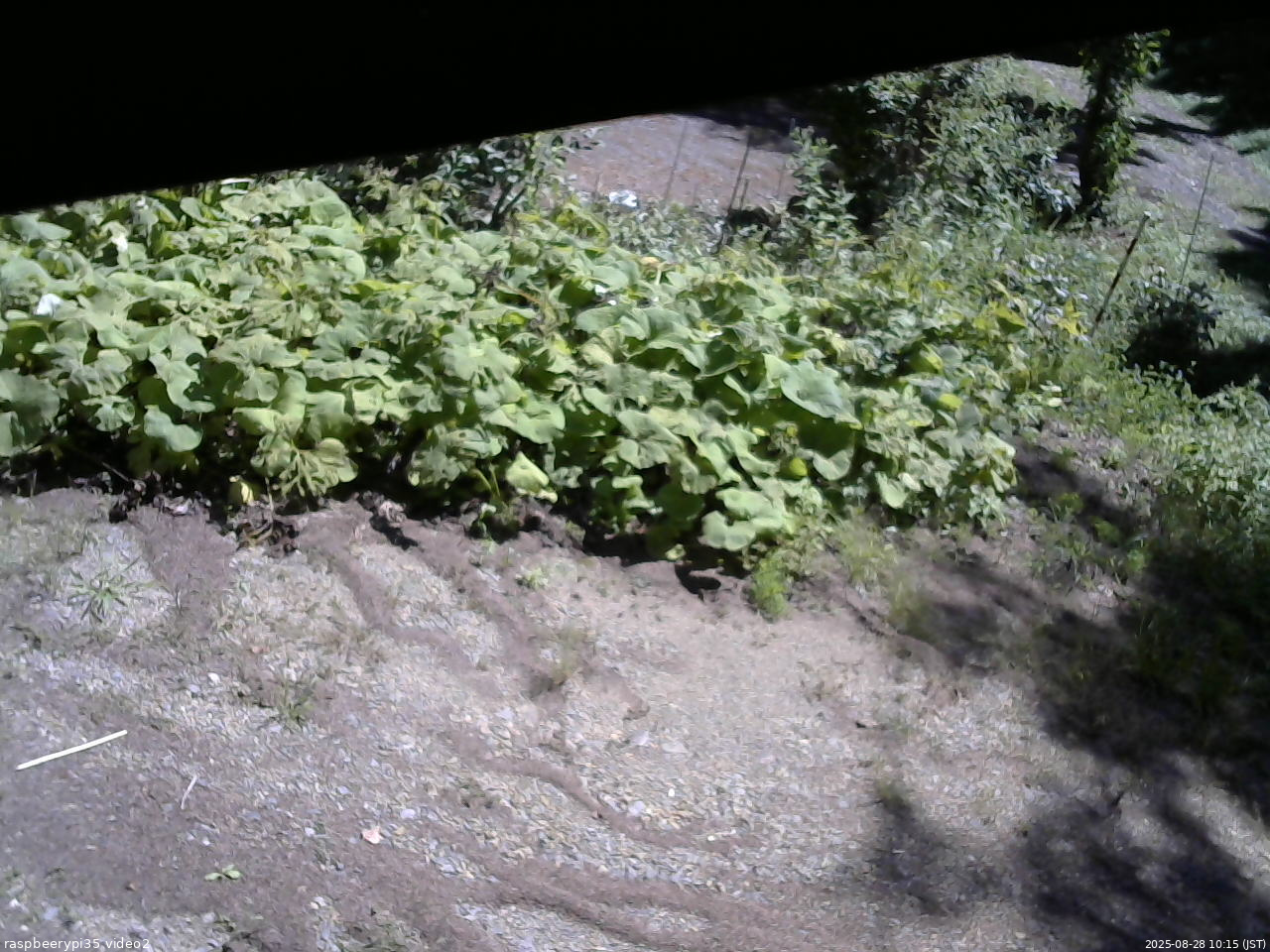 長野県菅平高原 ゆたか山荘 駐車場 2025/08/28 10:15