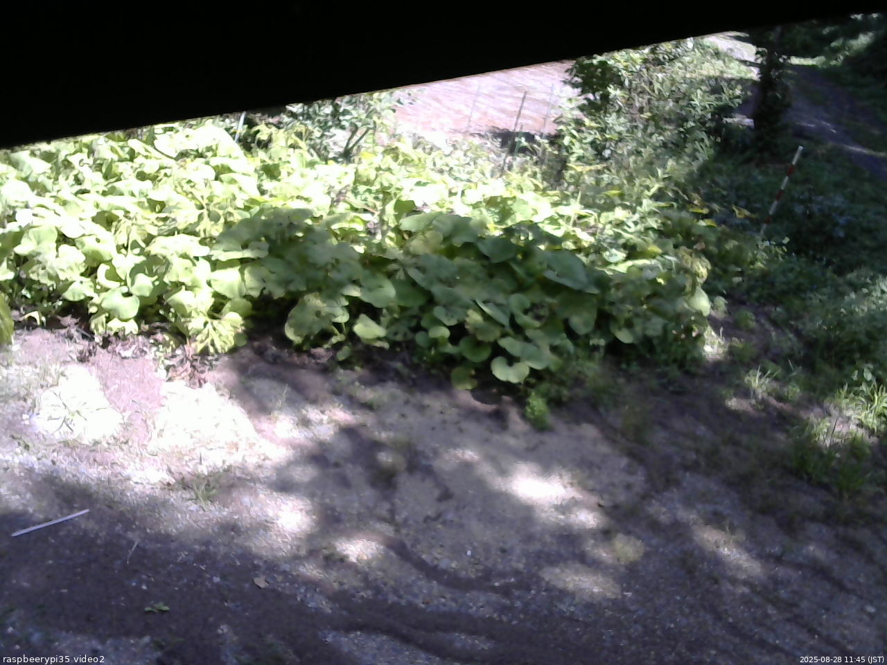 長野県菅平高原 ゆたか山荘 駐車場 2025/08/28 11:45