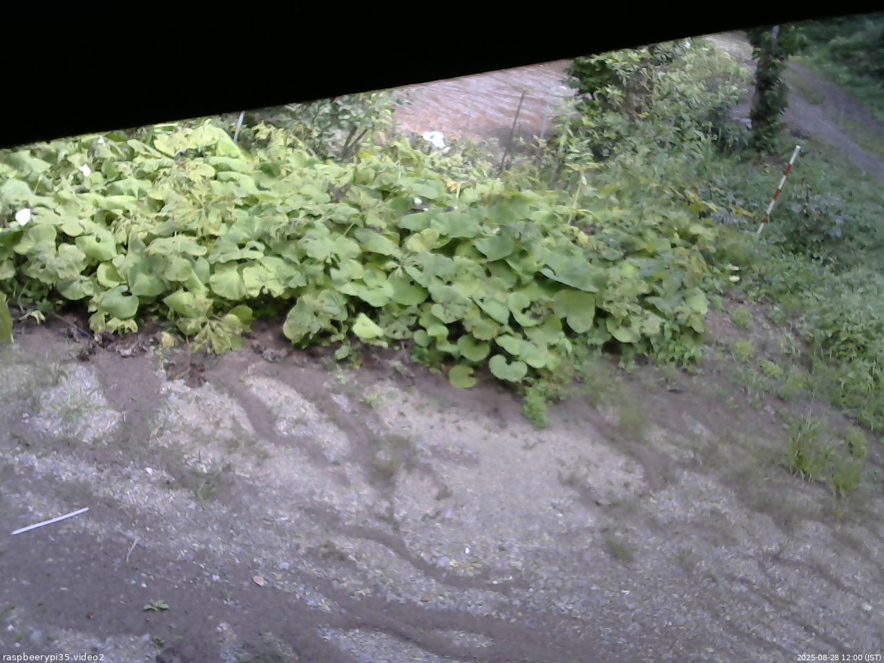長野県菅平高原 ゆたか山荘 駐車場 2025/08/28 12:00