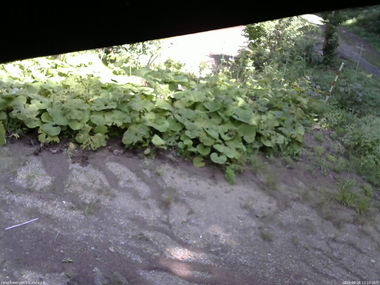 長野県菅平高原 ゆたか山荘 駐車場 2025/08/28 12:15