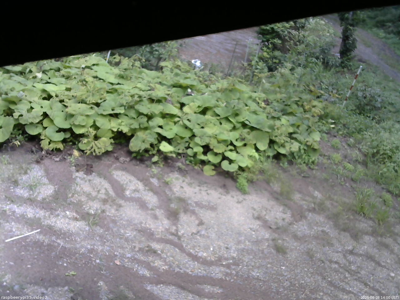 長野県菅平高原 ゆたか山荘 駐車場 2025/08/28 14:00