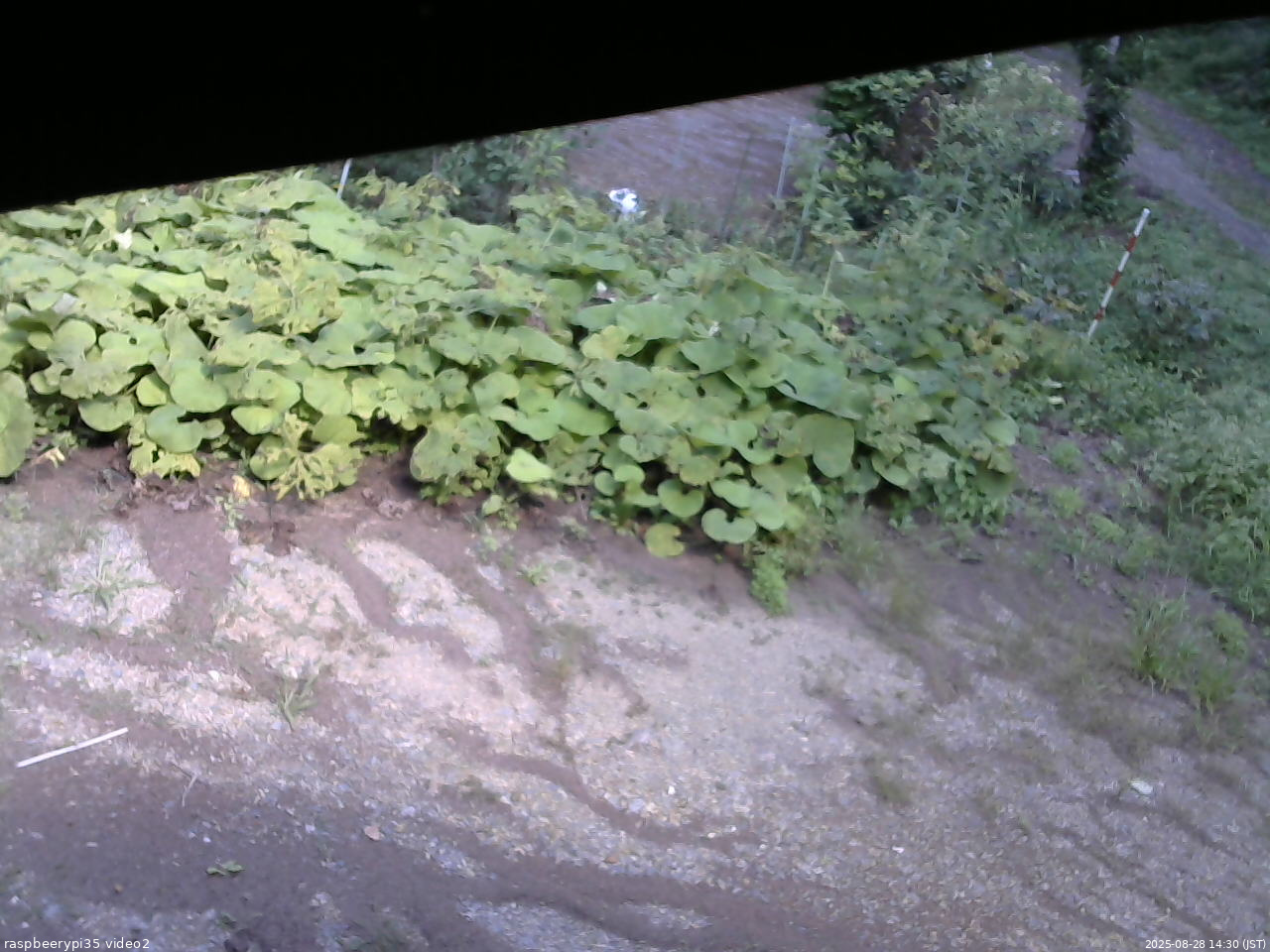 長野県菅平高原 ゆたか山荘 駐車場 2025/08/28 14:30