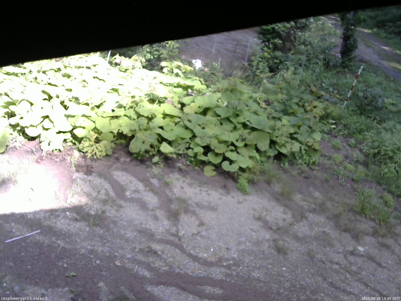 長野県菅平高原 ゆたか山荘 駐車場 2025/08/28 14:45