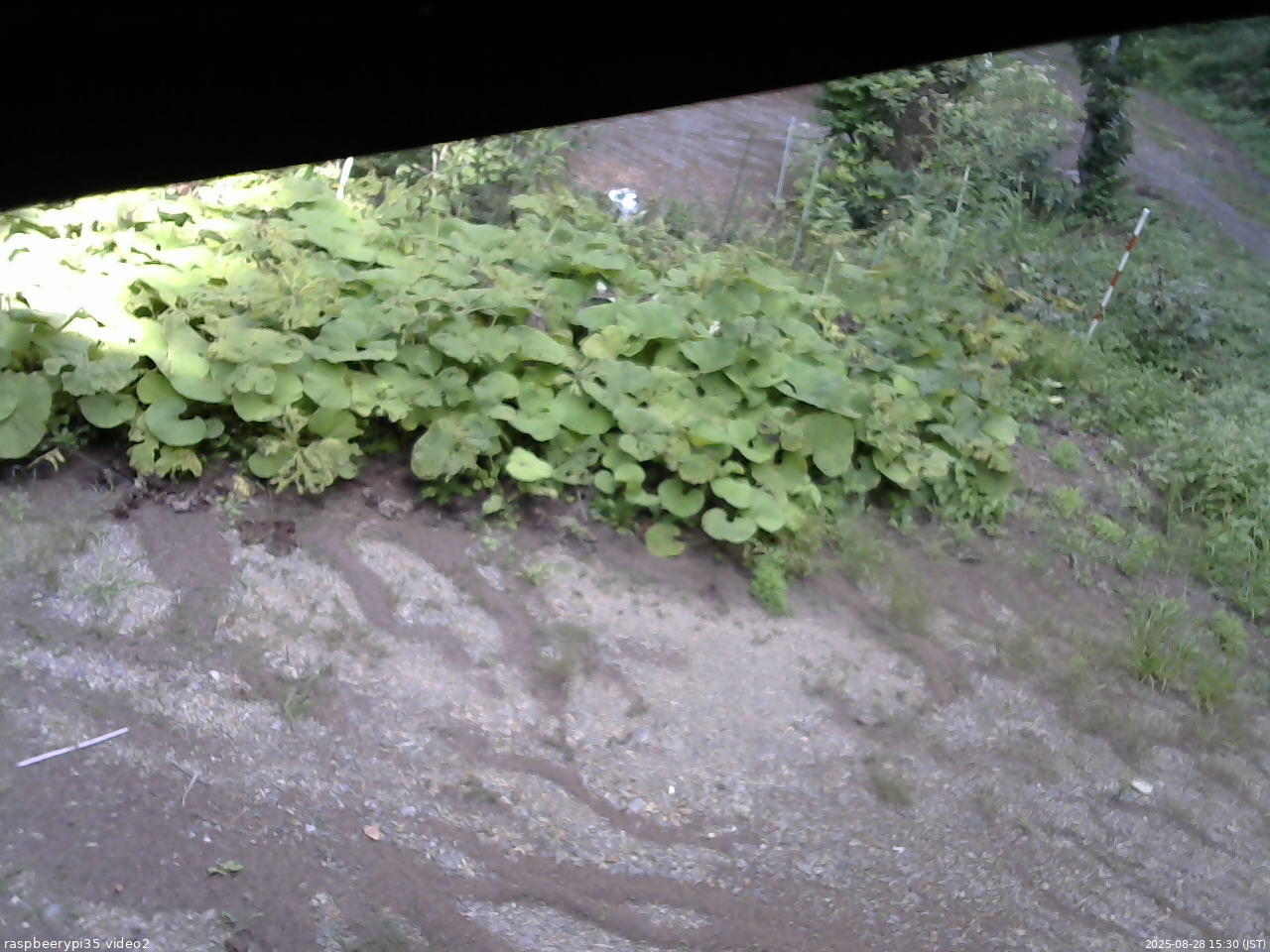 長野県菅平高原 ゆたか山荘 駐車場 2025/08/28 15:30