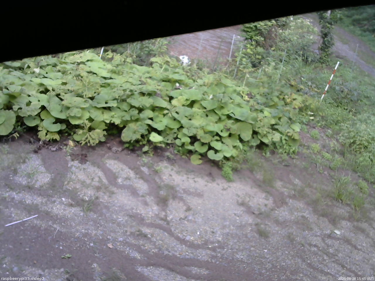 長野県菅平高原 ゆたか山荘 駐車場 2025/08/28 15:45