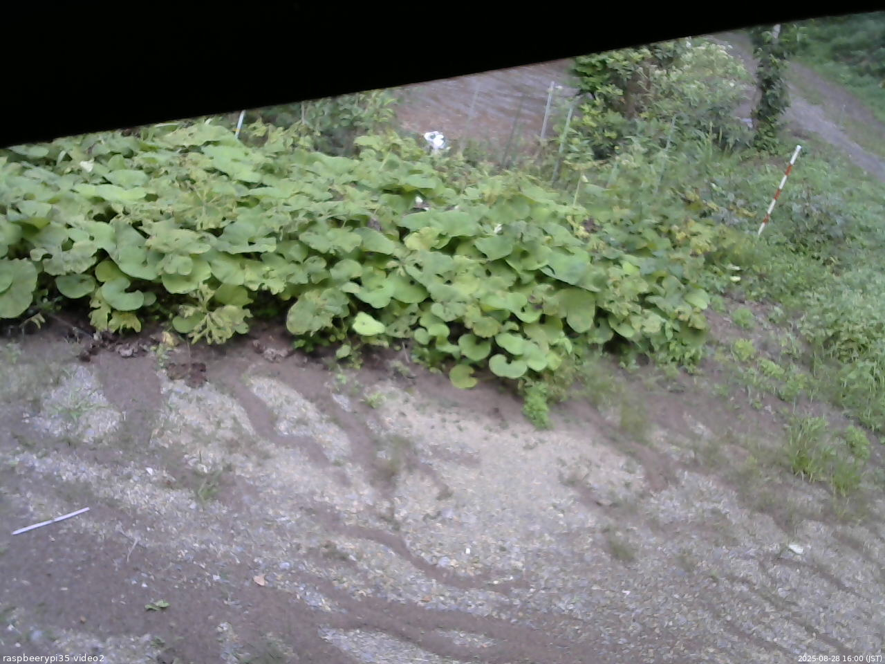 長野県菅平高原 ゆたか山荘 駐車場 2025/08/28 16:00