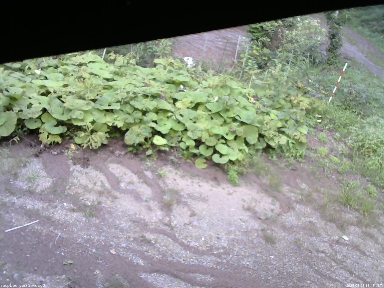 長野県菅平高原 ゆたか山荘 駐車場 2025/08/28 16:45