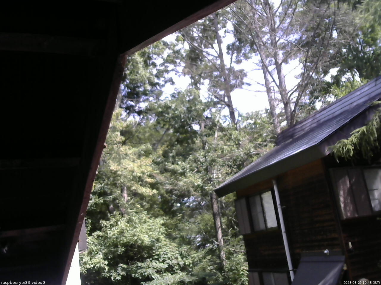 長野県菅平高原 ゆたか山荘 北側 2025/08/29 10:45