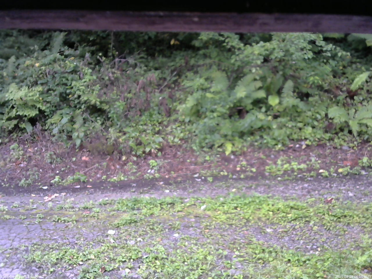 長野県菅平高原 ゆたか山荘 南側 2025/08/29 06:15