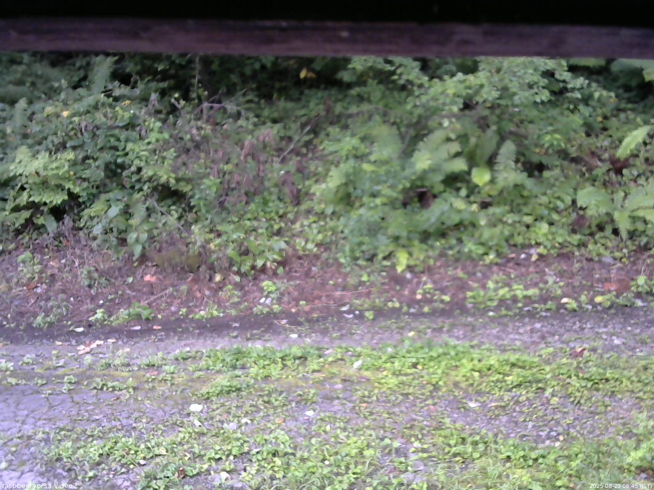 長野県菅平高原 ゆたか山荘 南側 2025/08/29 06:45
