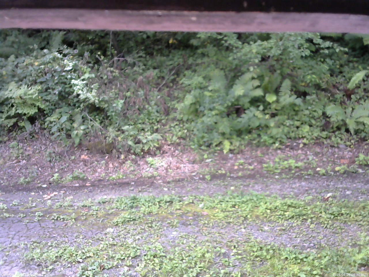 長野県菅平高原 ゆたか山荘 南側 2025/08/29 09:30