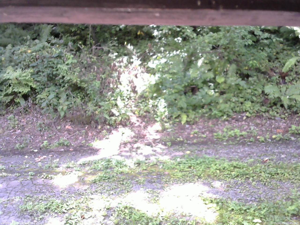 長野県菅平高原 ゆたか山荘 南側 2025/08/29 10:45