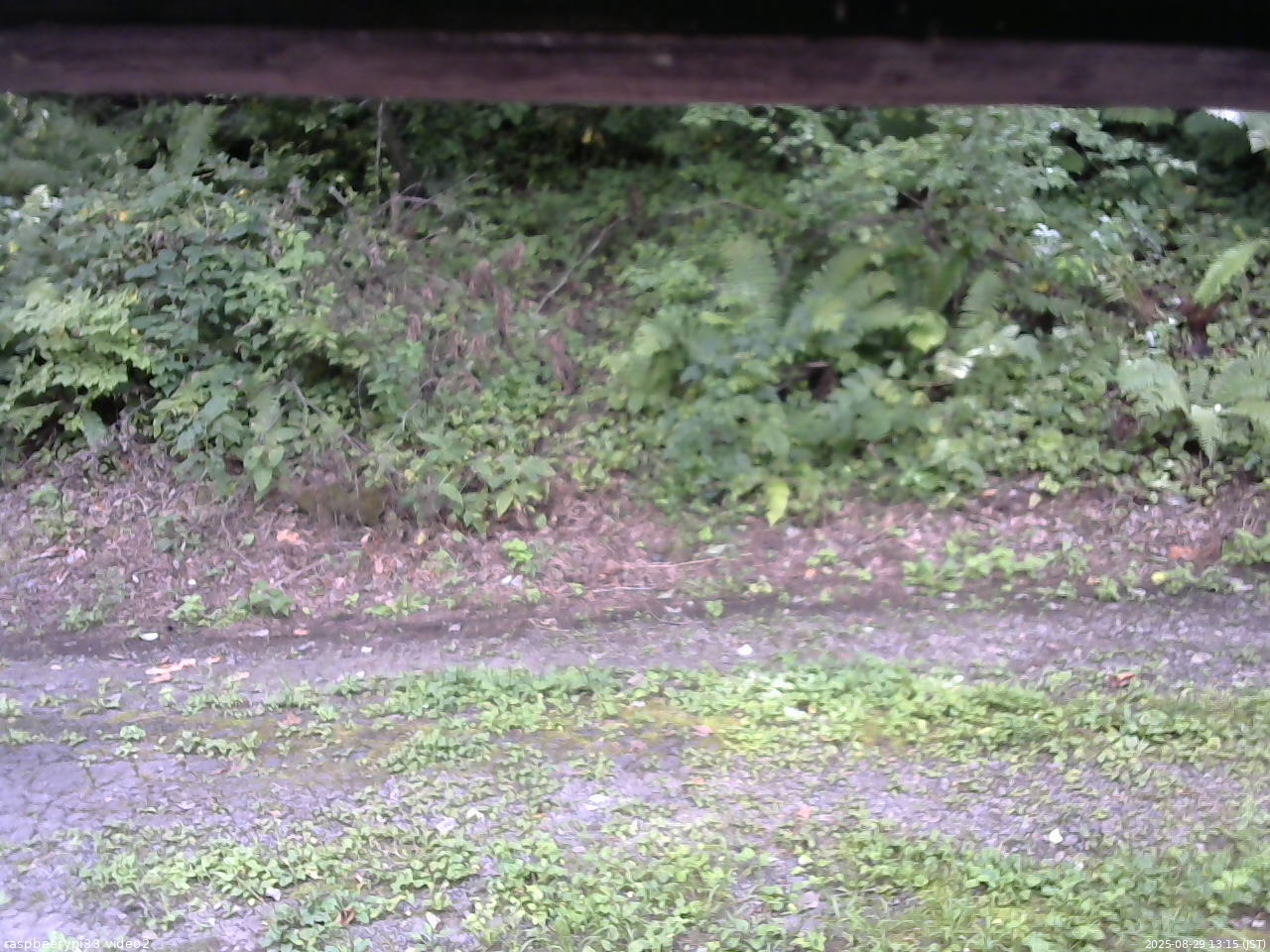 長野県菅平高原 ゆたか山荘 南側 2025/08/29 13:15