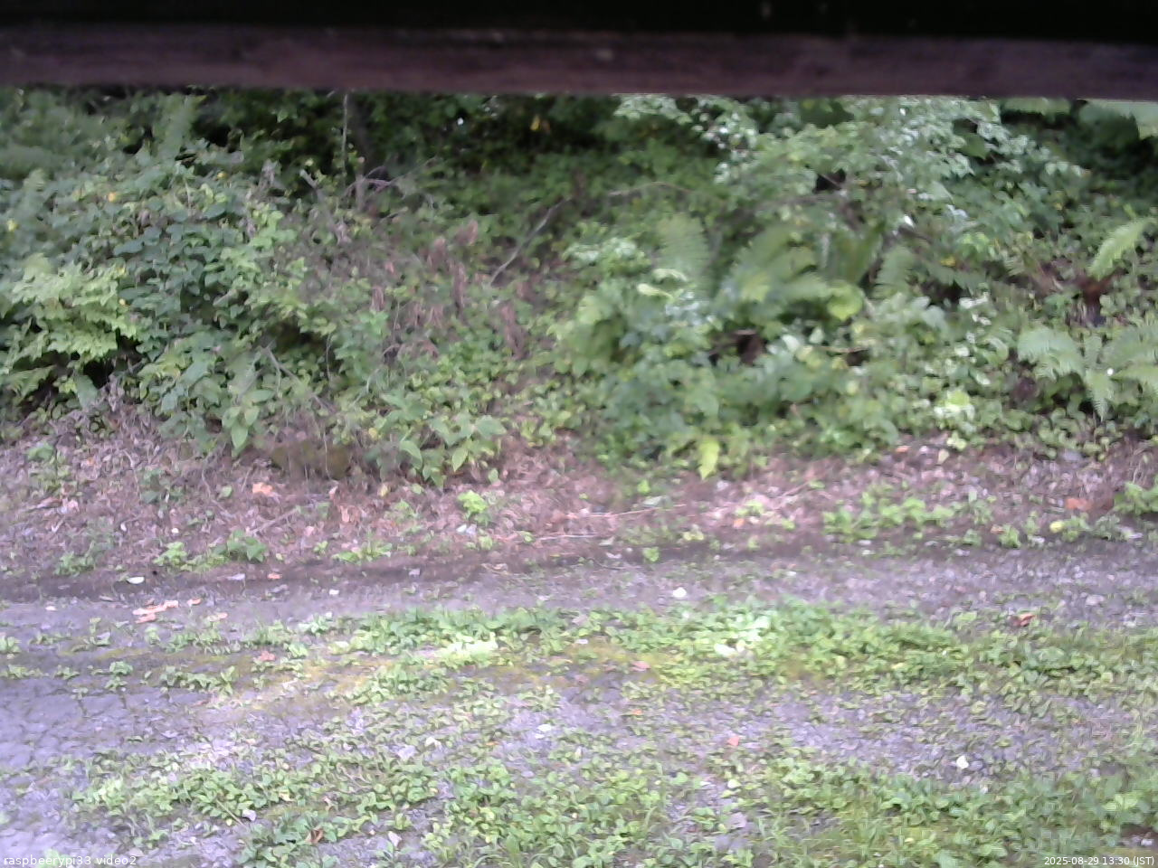 長野県菅平高原 ゆたか山荘 南側 2025/08/29 13:30