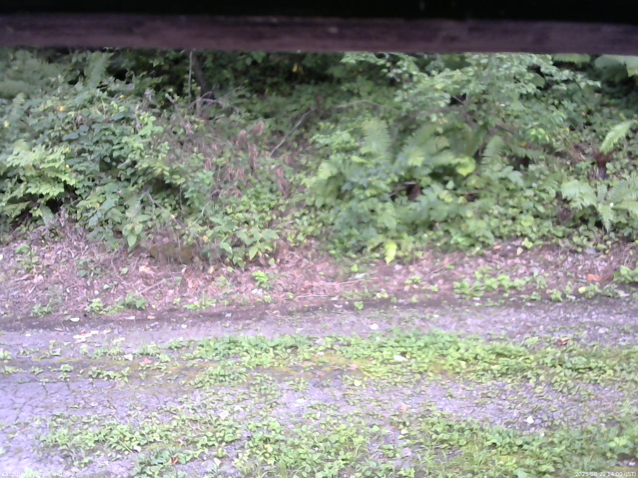 長野県菅平高原 ゆたか山荘 南側 2025/08/29 14:00