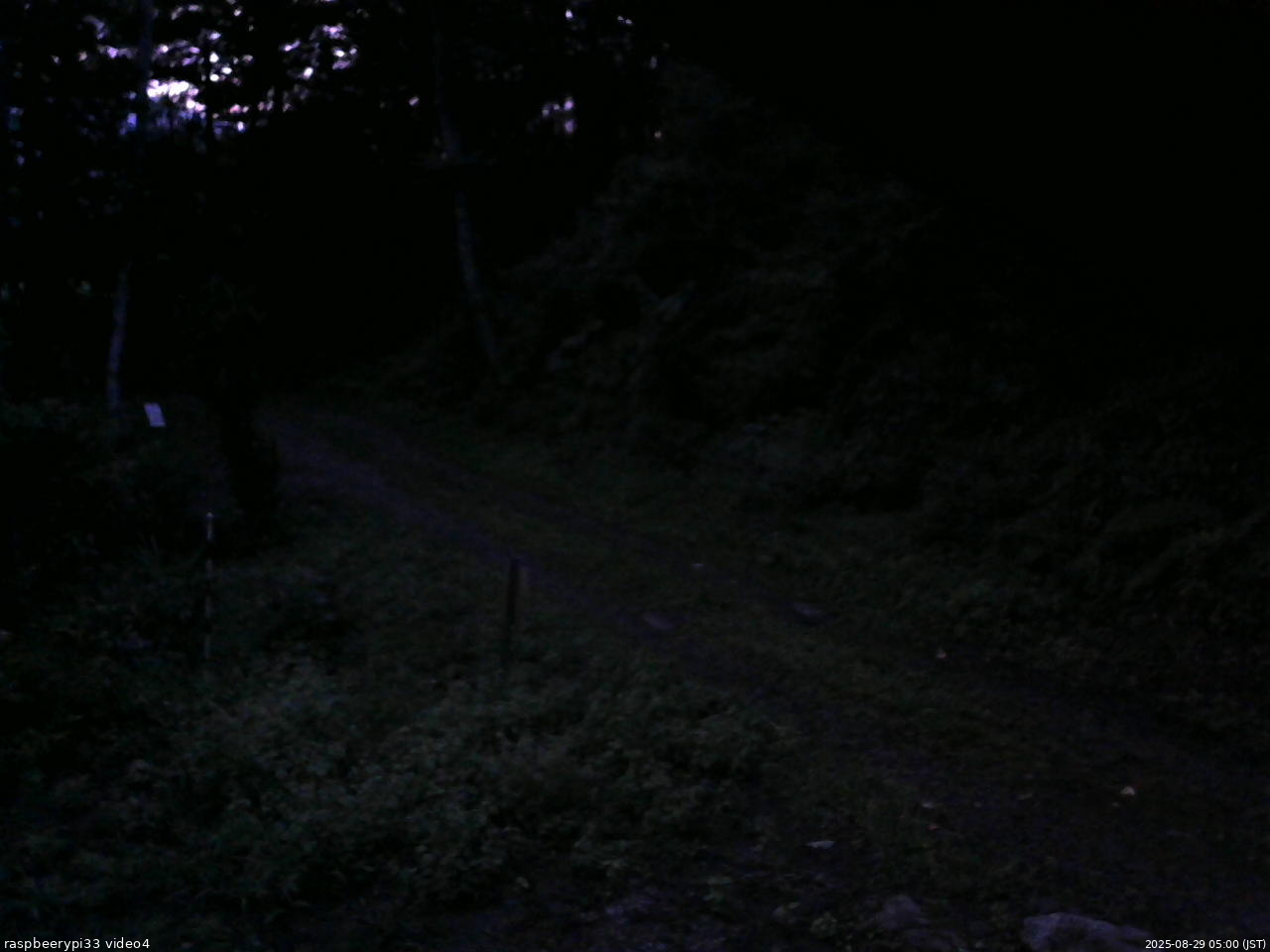 長野県菅平高原 ゆたか山荘 東側(坂下) 2025/08/29 05:00