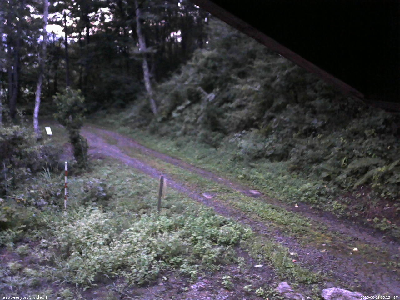 長野県菅平高原 ゆたか山荘 東側(坂下) 2025/08/29 05:15