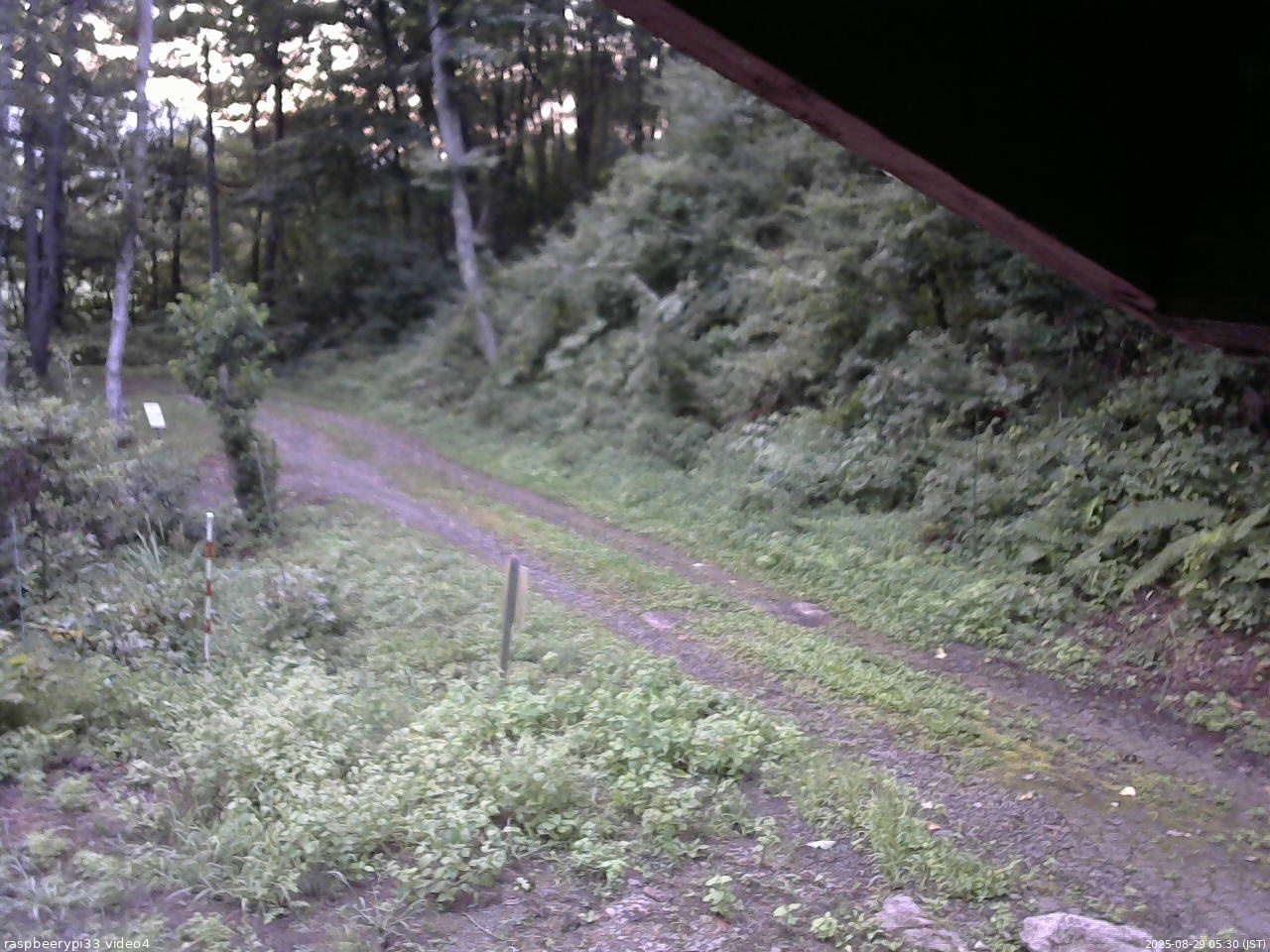 長野県菅平高原 ゆたか山荘 東側(坂下) 2025/08/29 05:30