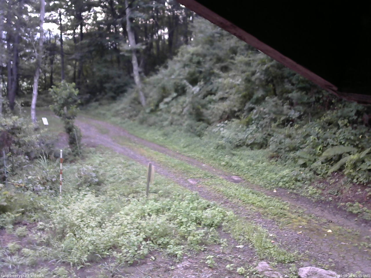 長野県菅平高原 ゆたか山荘 東側(坂下) 2025/08/29 05:45