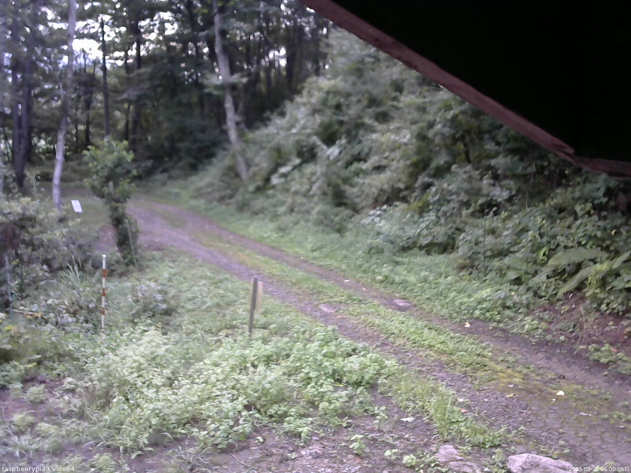 長野県菅平高原 ゆたか山荘 東側(坂下) 2025/08/29 06:00