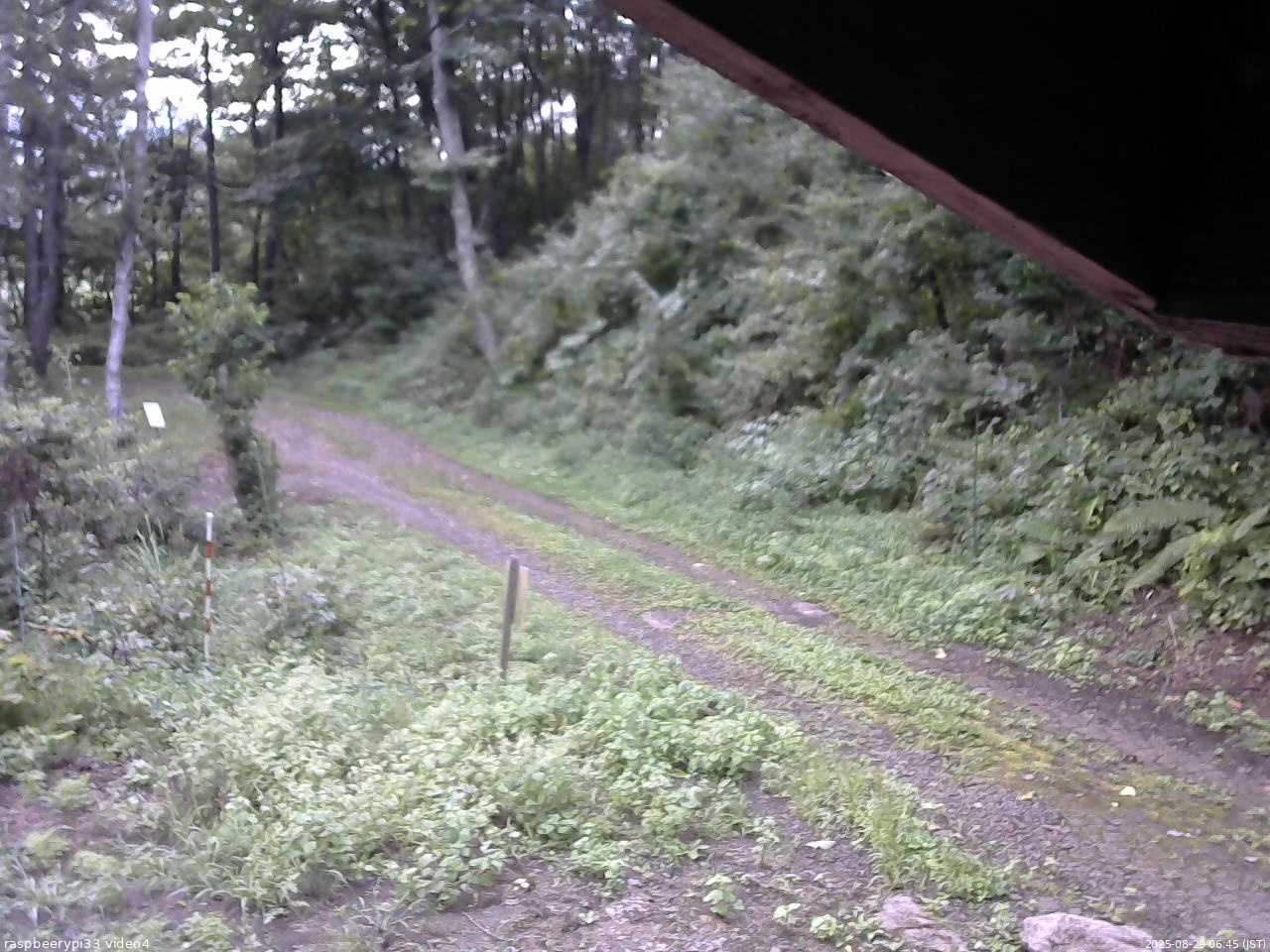 長野県菅平高原 ゆたか山荘 東側(坂下) 2025/08/29 06:45