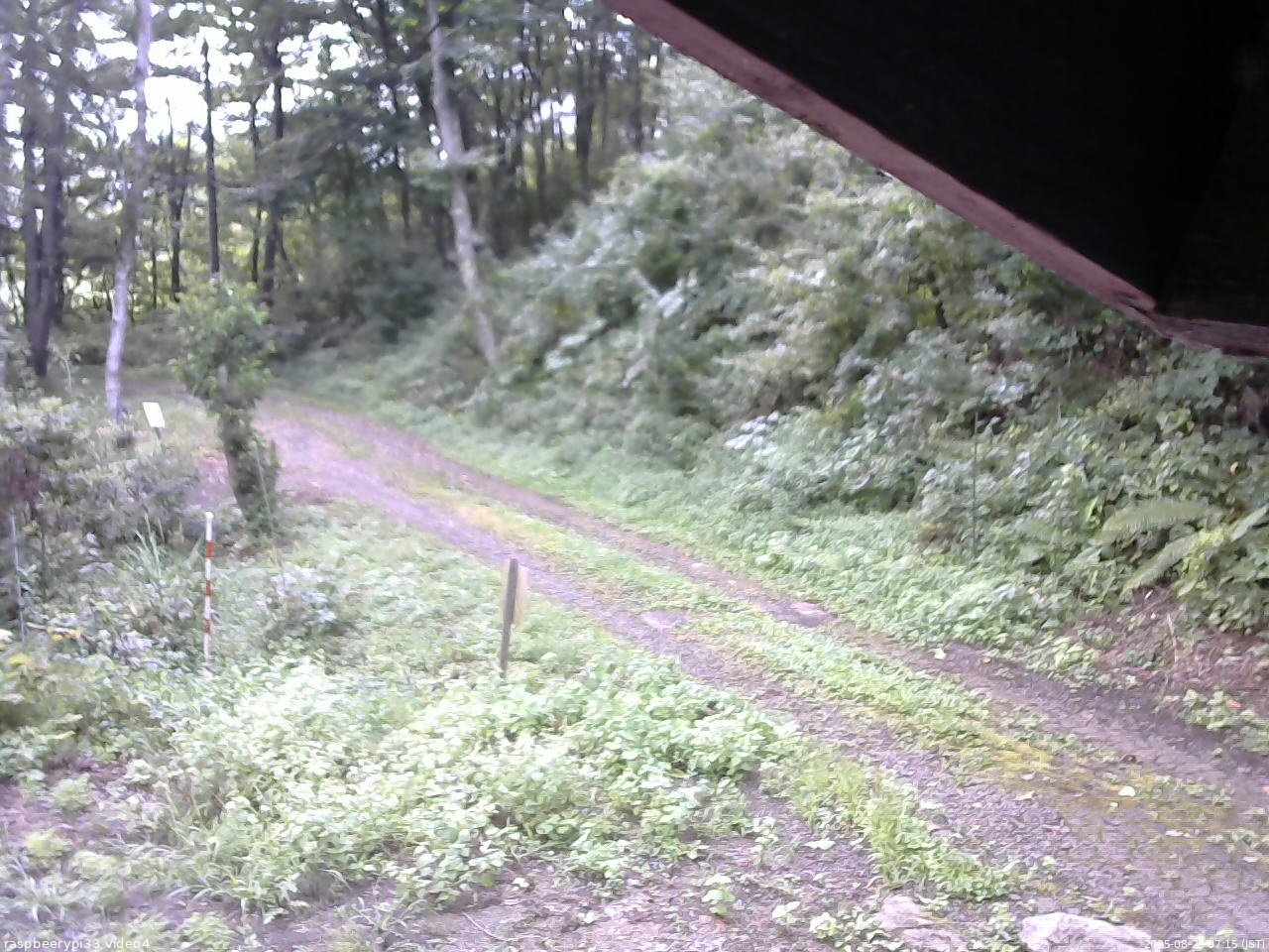 長野県菅平高原 ゆたか山荘 東側(坂下) 2025/08/29 07:15