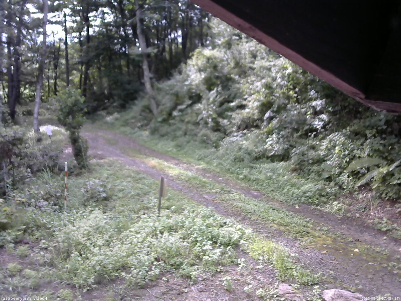 長野県菅平高原 ゆたか山荘 東側(坂下) 2025/08/29 07:45