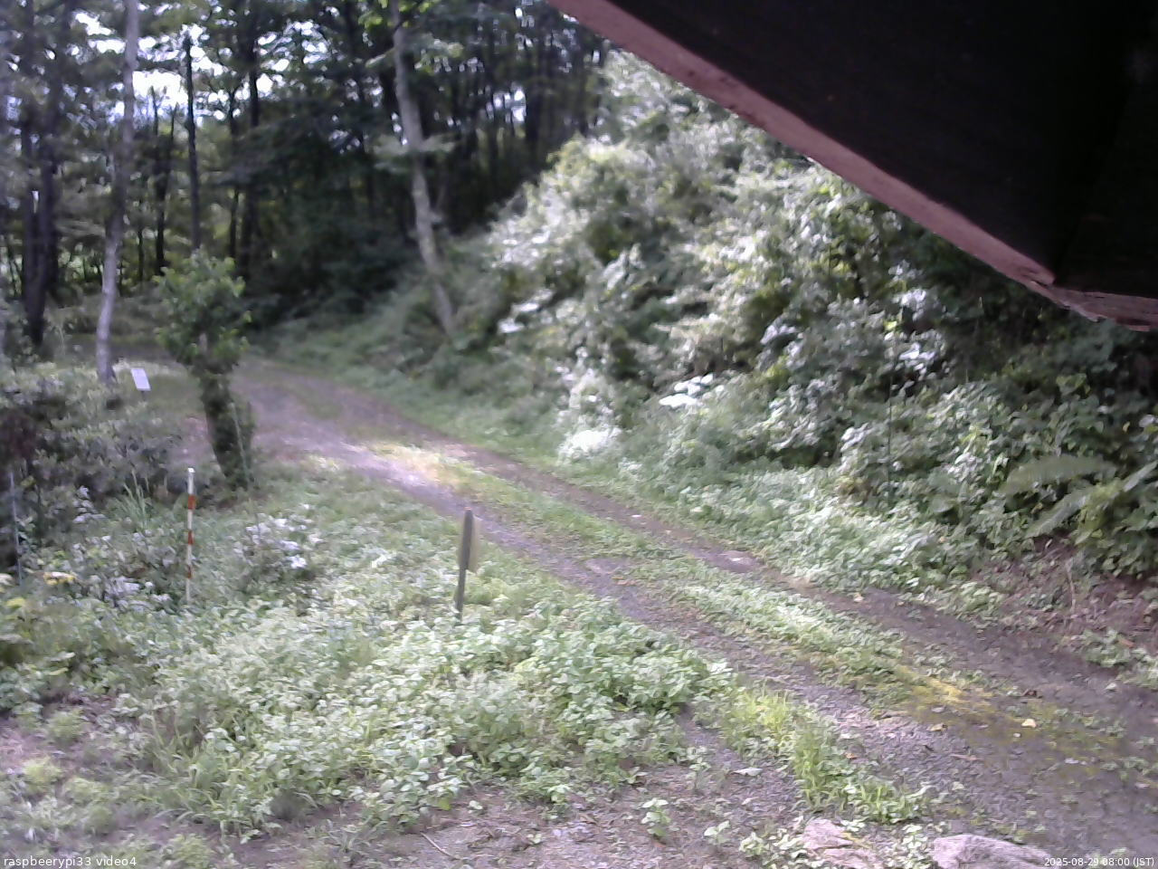 長野県菅平高原 ゆたか山荘 東側(坂下) 2025/08/29 08:00