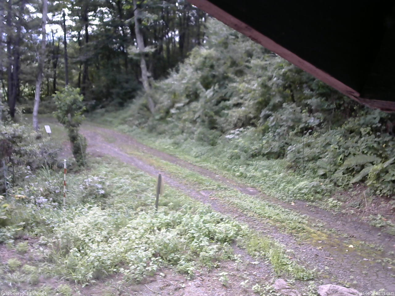 長野県菅平高原 ゆたか山荘 東側(坂下) 2025/08/29 08:15