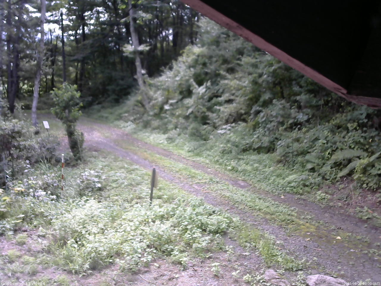 長野県菅平高原 ゆたか山荘 東側(坂下) 2025/08/29 09:00